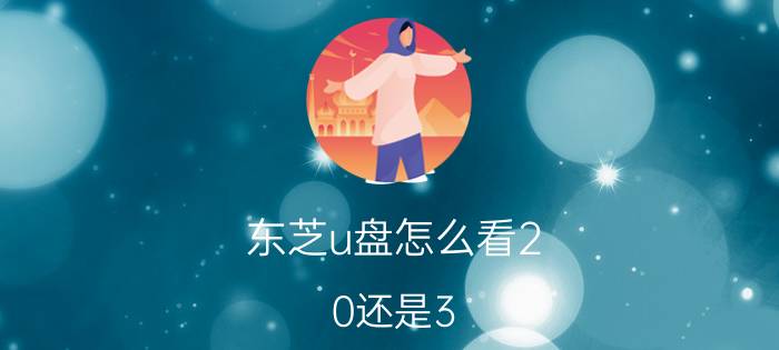 东芝u盘怎么看2.0还是3.0 u盘品牌排行和性价比？